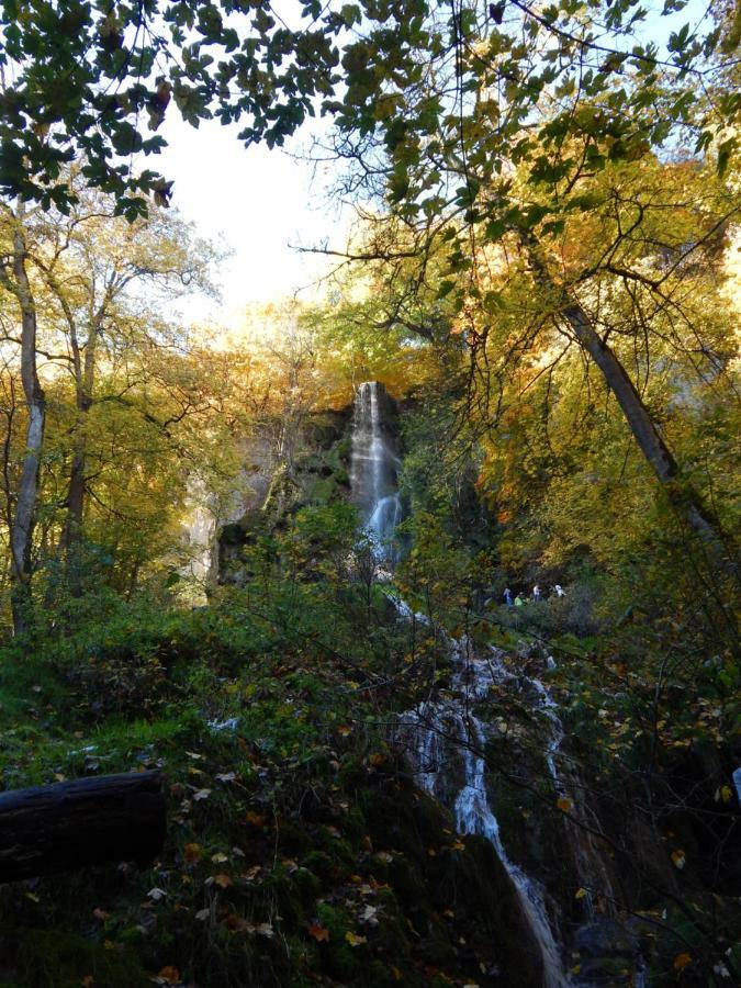 Free Apartment - Bei Den Thermen Bad Urach Luaran gambar